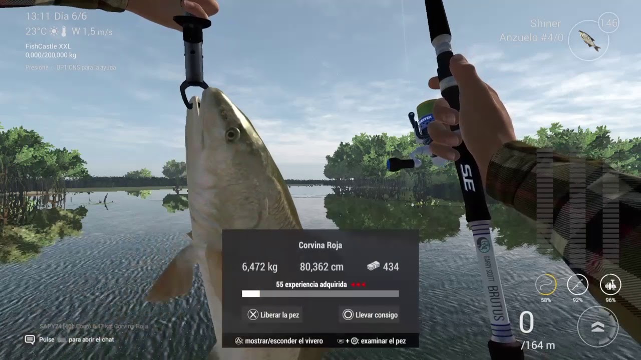 PROJECT*sapy24 CORVINA ROJA (Everglades)