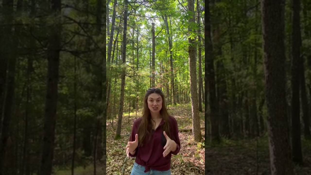 GoRec wants to get people in Michigan Outside. And they’re hiring!