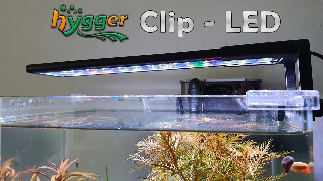 hygger HG 076 Clip - LED (172)