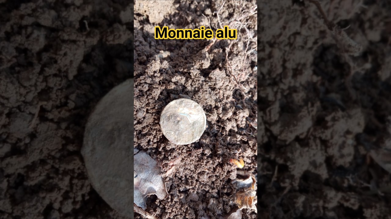 s&ucirc;rement 1fr Bazor #metaldetecting