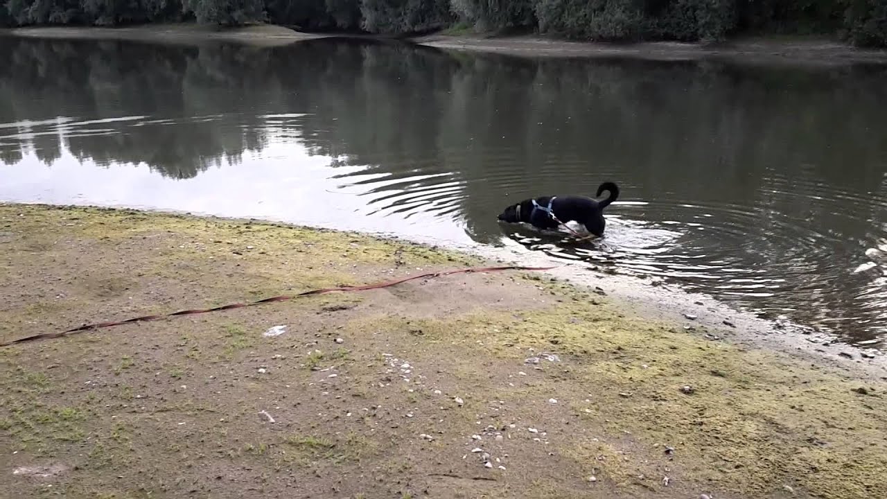 Wsch&ouml;ner rhein