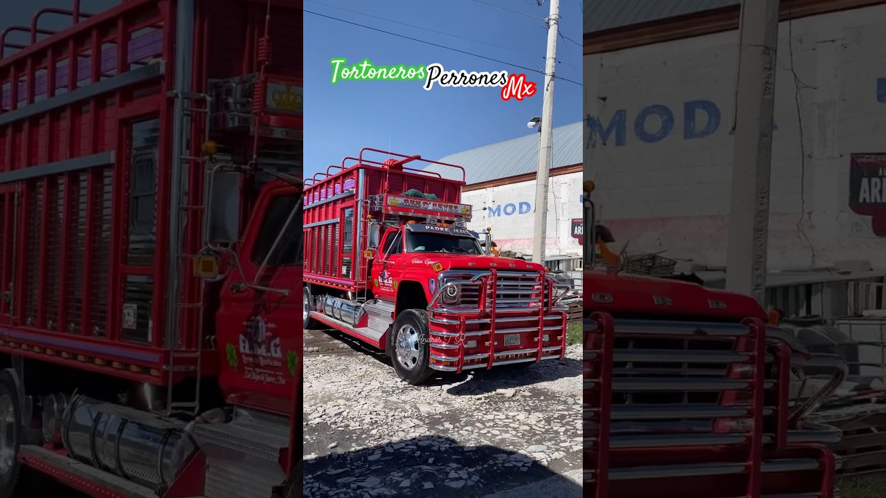 Que belleza de carro torton ford f600 chulada de diamant&eacute; bien pulido papa