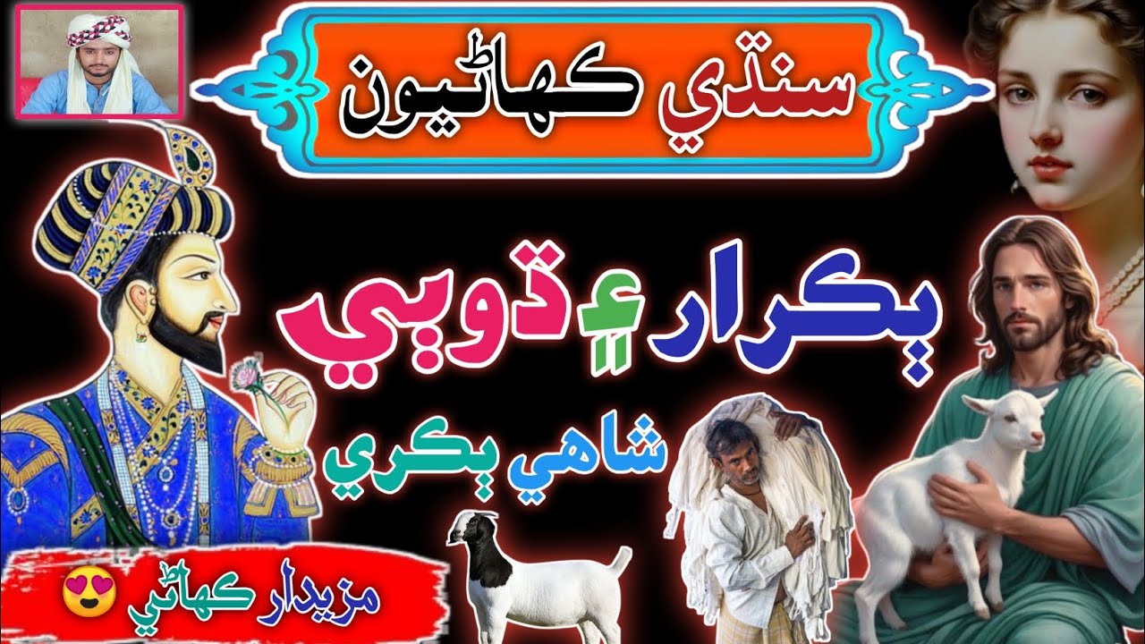 Bakrar Aen Dhobi | sindhi Story 2025 | sindhi Urdu Mix