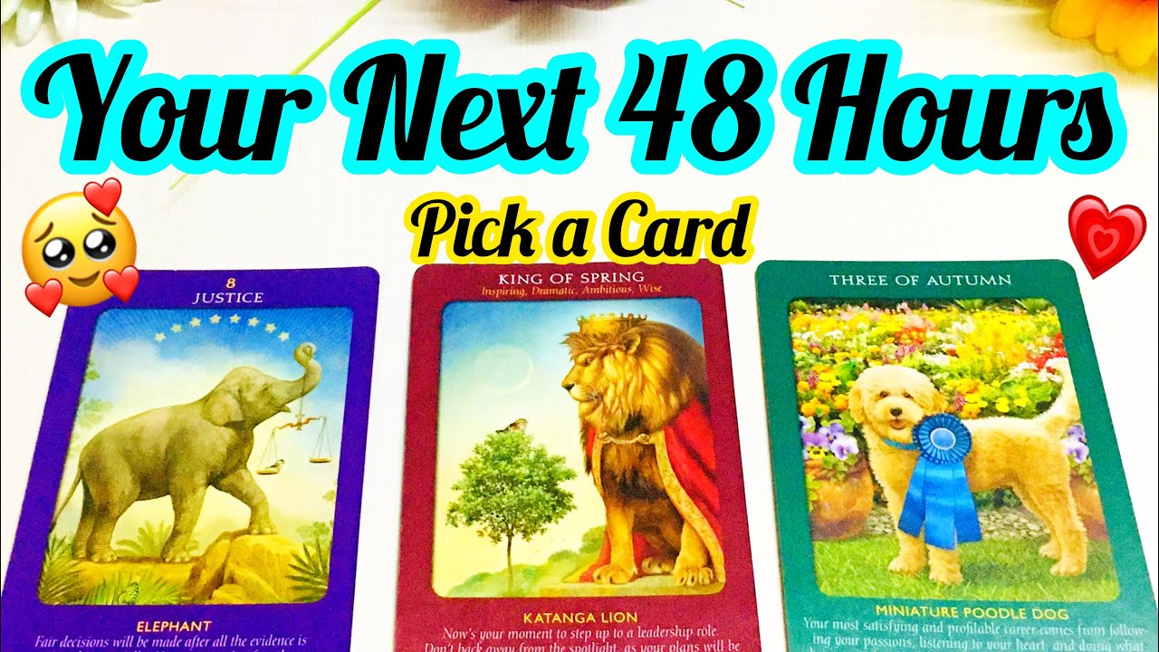 Pick a Card- YOUR NEXT 48 HOURS- LOVE WORK - APKE NEXT 48 HOURS KAISE HONGE-  Magic Wands Tarot