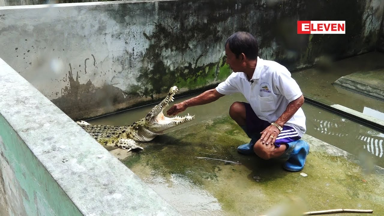 Hello Pets (ရုပ္သံအစီအစဥ္)
