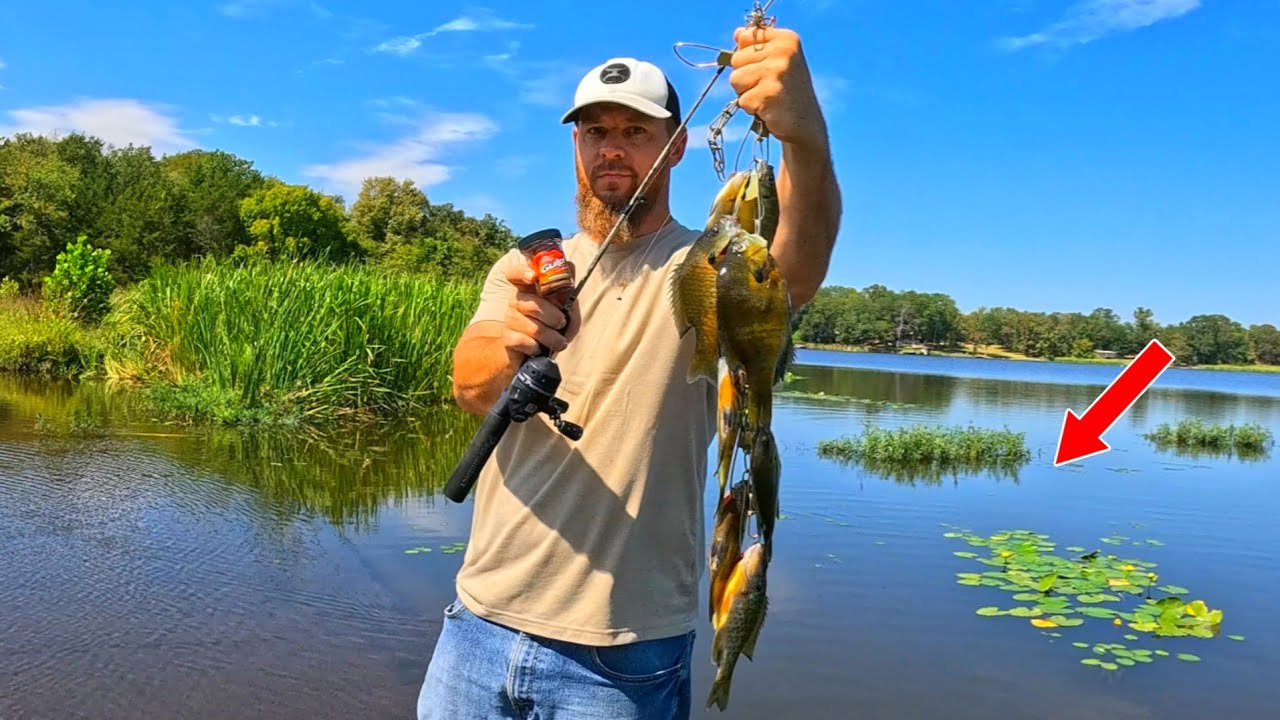 Fall Bluegill Fishing with Berkley Gulp! Earthworms (Catch, Clean & Cook)