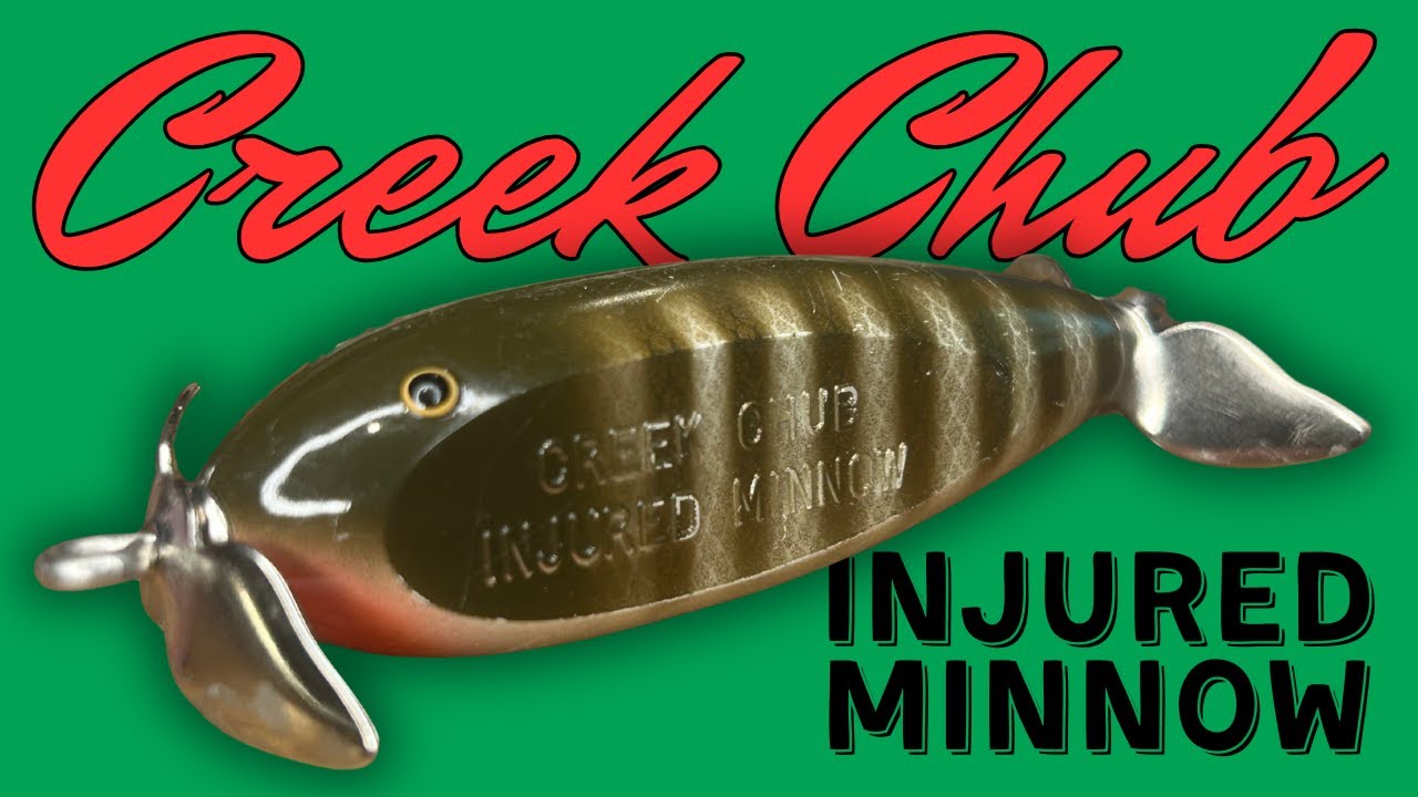 The History of the Creek Chub INJURED MINNOW - A Top Water Favorite for Over a 100 Years!