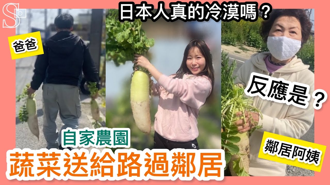 回日本Vlog🇯🇵  巨大の大根！自家農園  蔬菜送給鄰居的反應是？ 自宅で採れた野菜を近所の人におすそわけの巻