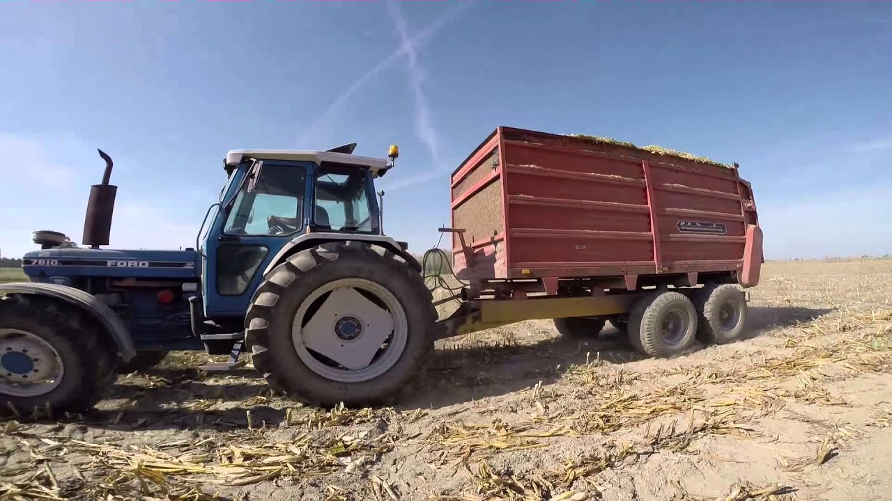 Koszenie kukurydzy / Silage 2014