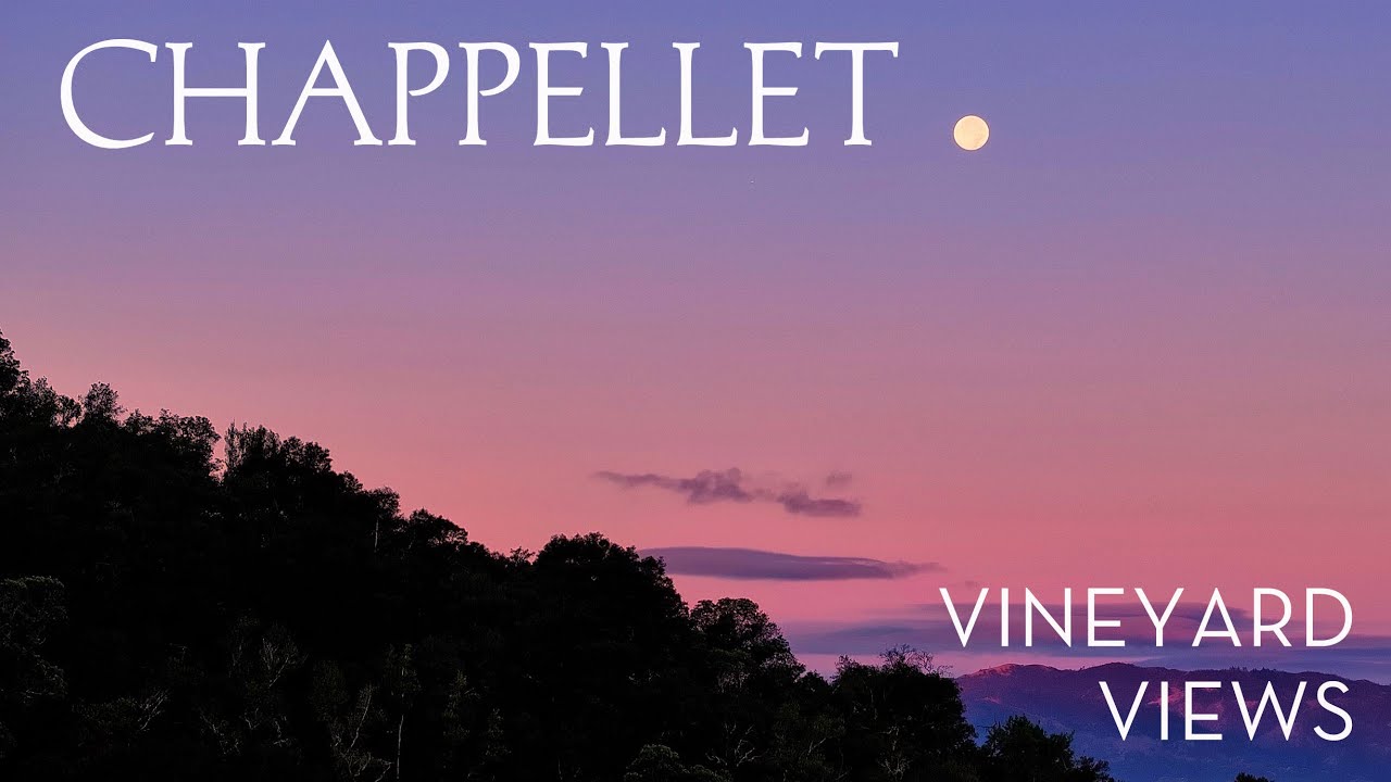 Vineyard Views | Harvest Moon Over Pritchard Hill