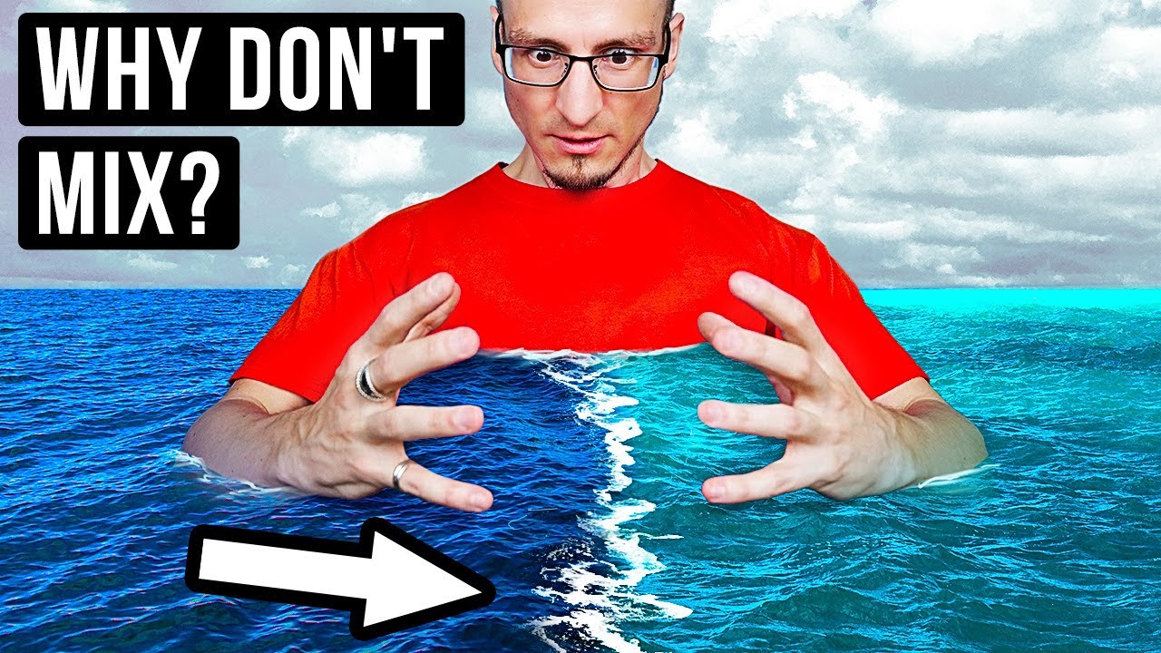 Why the Border Between These Two Oceans Is So Vivid