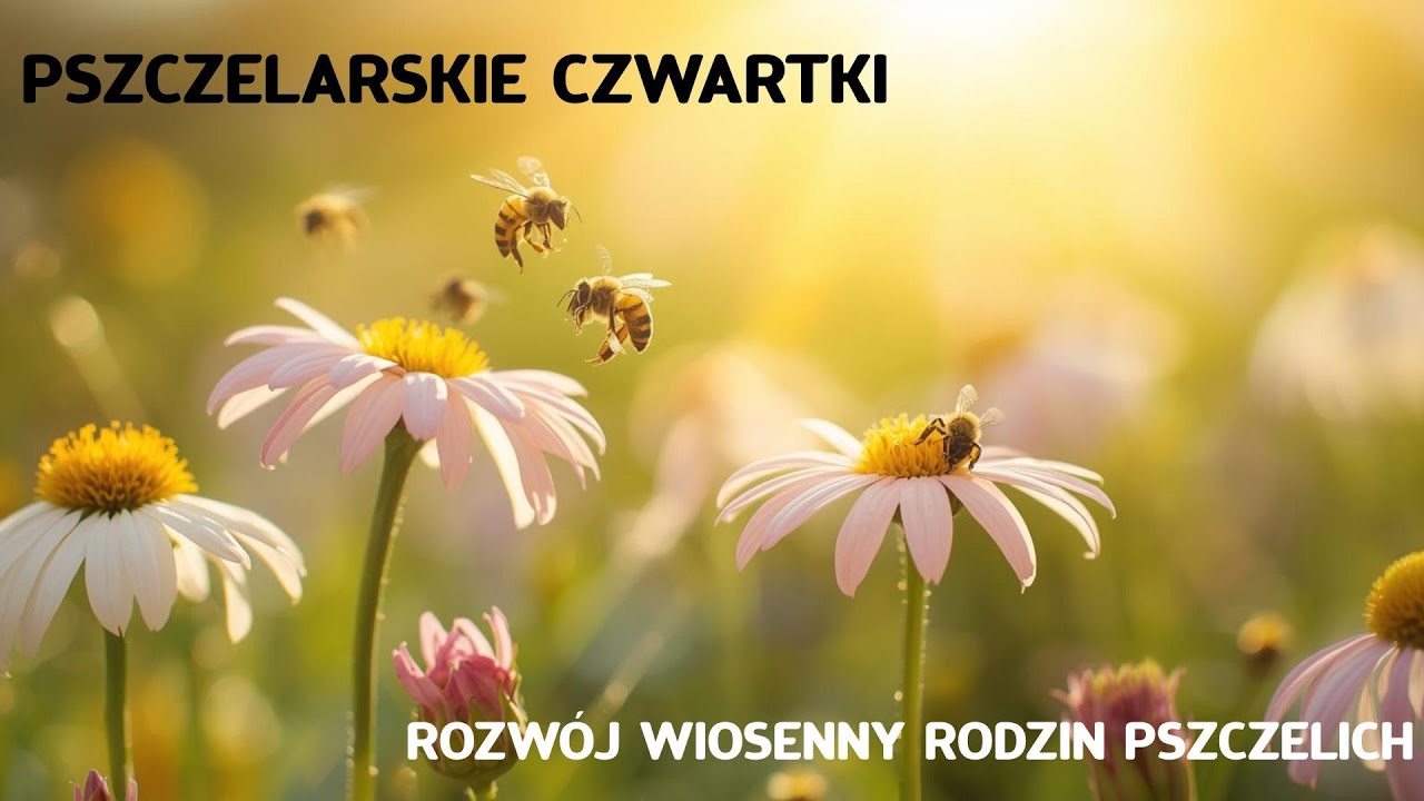 Webinar z 6.03.2025r. p. Mariusz Chachuła 