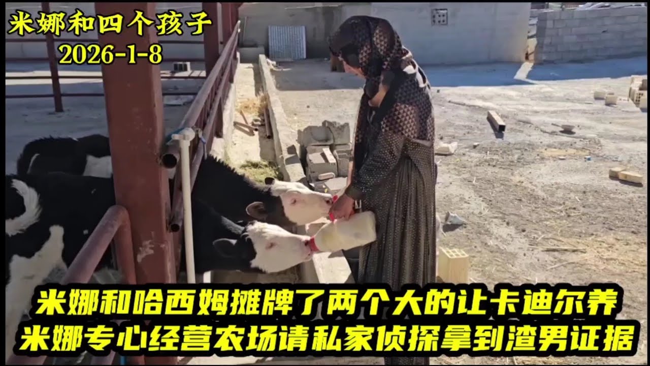 米娜和哈西姆摊牌了两个大的让卡迪尔养。米娜专心经营农场聘请私家侦探拿到渣男证据。＃米娜纪录片