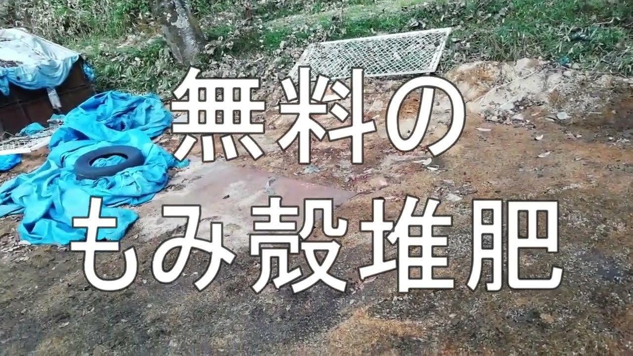 無料のもみ殻堆肥