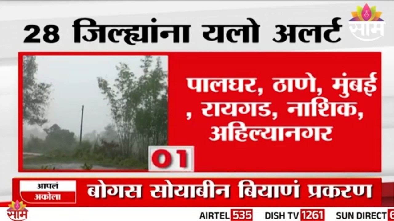 मुंबई-ठाण्यासह 28 जिल्ह्यांना यलो अलर्ट, पावसाचा जोर वाढणार  | Maharashtra Monsoon Update