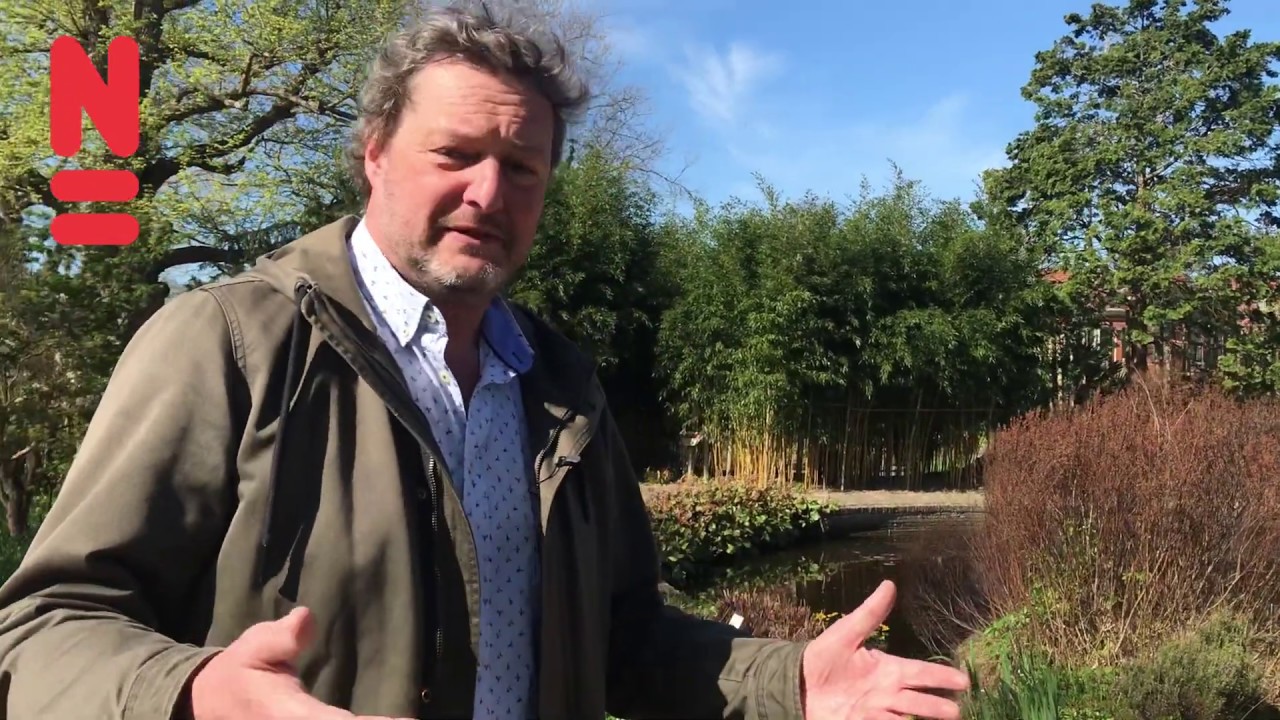 Meer biodiversiteit in je tuin