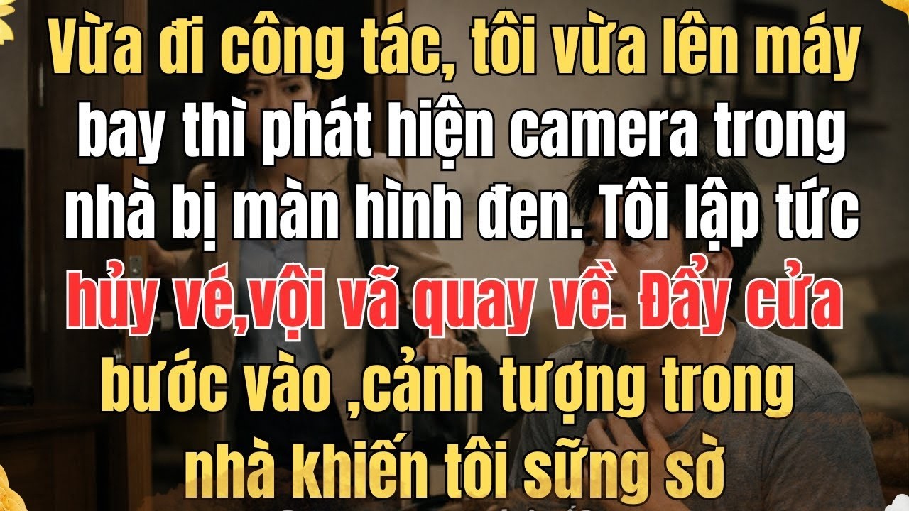 VỪA ĐI CÔNG TÁC, TÔI VỪA LÊN MÁY BAY THÌ PHÁT HIỆN CAMERA TRONG NHÀ BỊ MÀN HÌNH ĐEN TÔI LẬP TỨC HỦY
