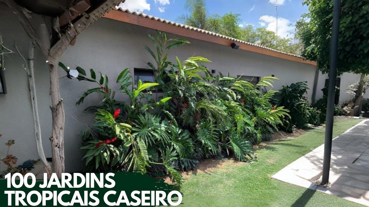 COMO CRIAR UM JARDIM TROPICAL CASEIRO INCRÍVEL  PAISAGISMO TROPICAL NO BRASIL PASSO A PASSO
