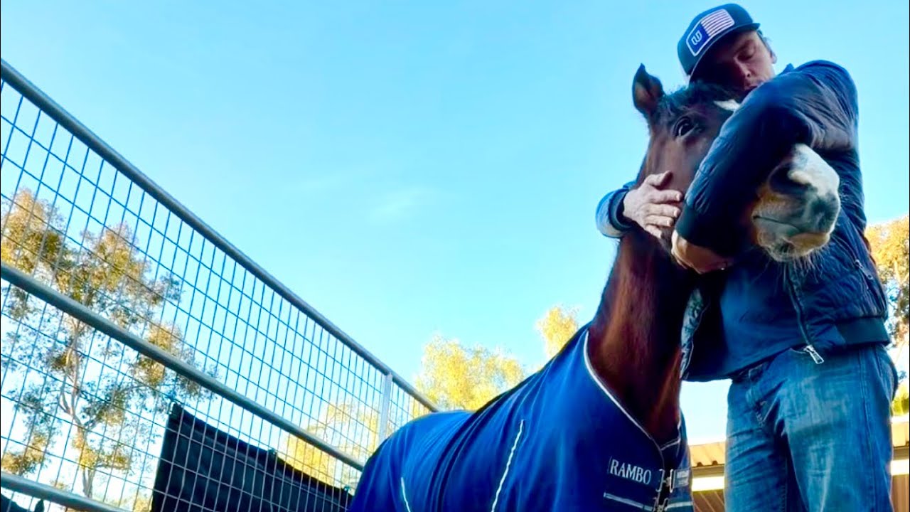 A quiet horse vlog