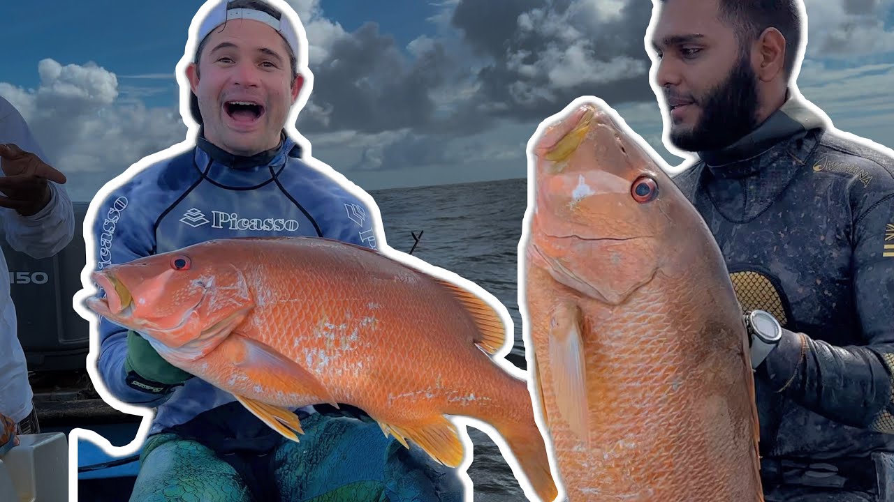 SPEARFISHING SNAPPER CATCH AND COOK - TRINIDAD & TOBAGO