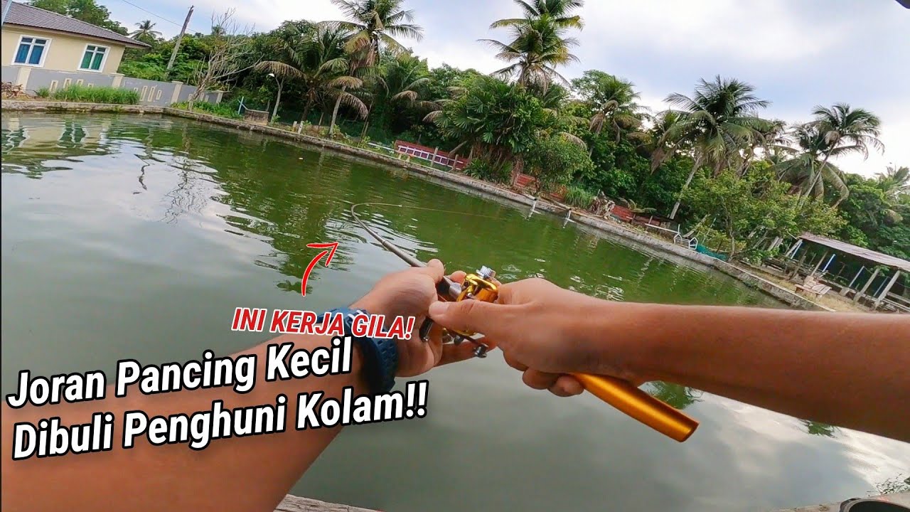 Joran Pancing Kecil 20 Ringgit Melawan IKAN BESAR di Kolam Maksu!! ( INI KERJA GILA! )