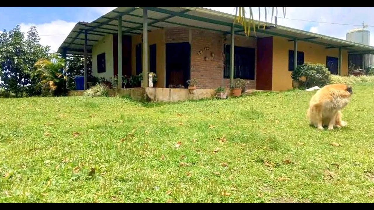 Casa de Campo En Venta $22,000 Negociable | Excelente Clima de Monta&ntilde;a F&aacute;cil Acceso | &Aacute;reas Verdes