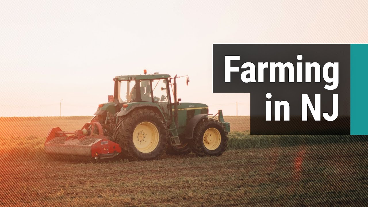 Agriculture: A multi-billion dollar industry in the Garden State | NJ Business Beat