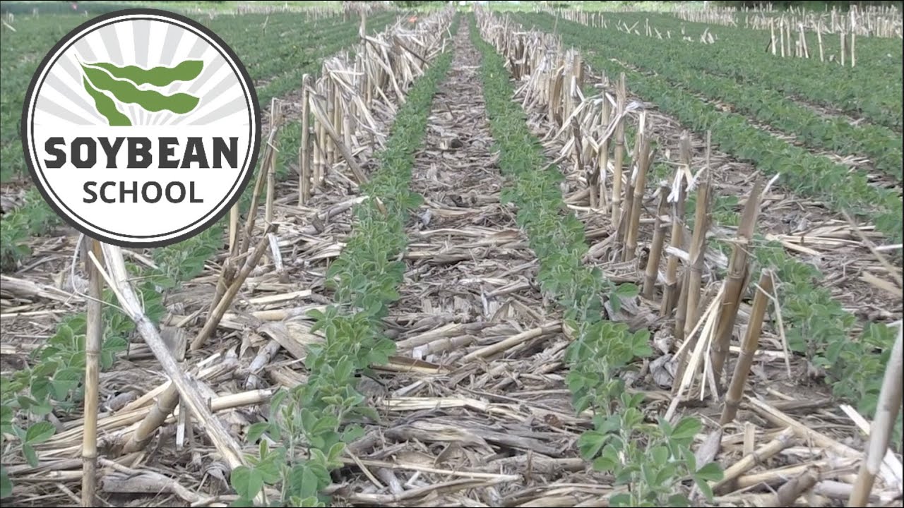 Soybean School: Wrestling residue in no till systems