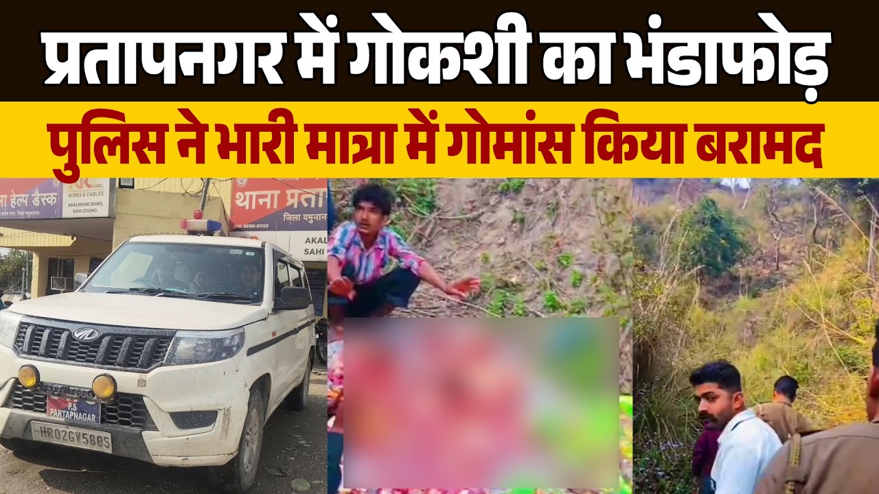 प्रतापनगर में गोकशी का भंडाफोड़, पुलिस ने भारी मात्रा में गोमांस किया बरामद