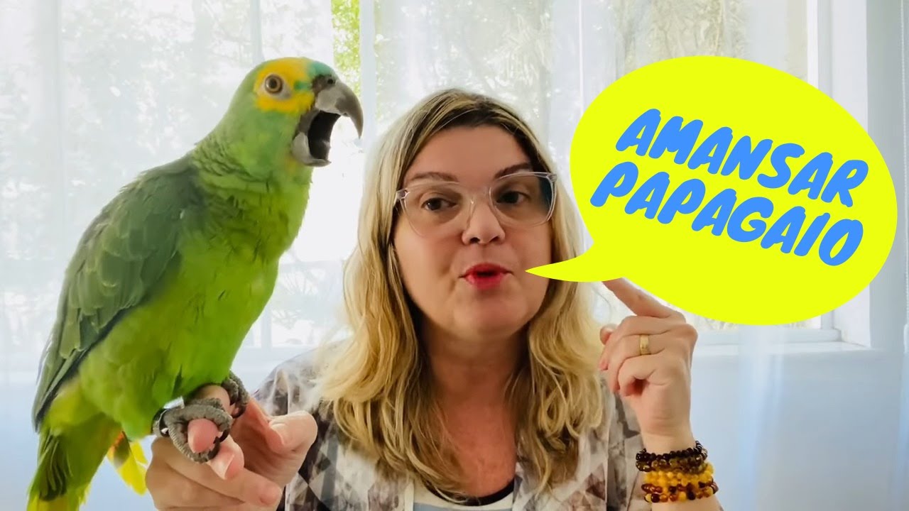 SAIBA AGORA como AMANSAR um PAPAGAIO 🦜😍 - OLHA ESSA DICA !