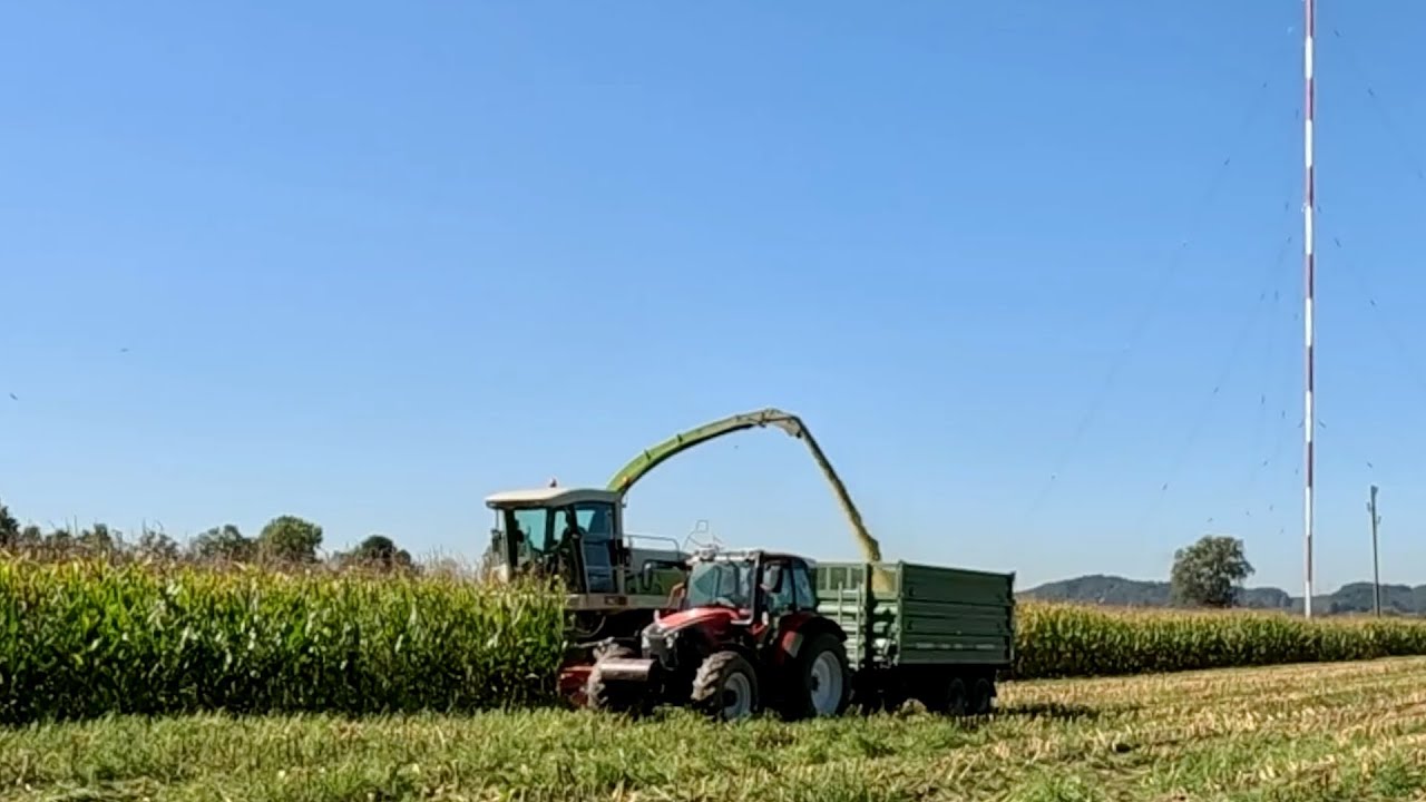 Making Feed for Dairy Cows