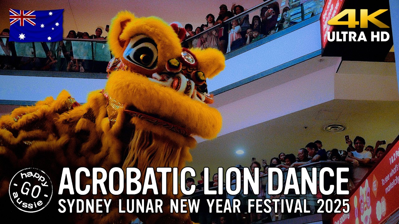 Spectacular Lion Dance on Poles! Sydney Lunar New Year 2025