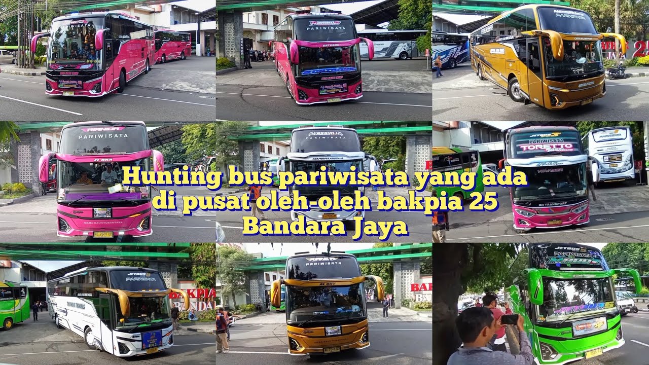 Gacor Banget 😱‼️| Hunting bus di pusat oleh-oleh bakpia 25 Bandara Jaya | banyak bus yang ada disana