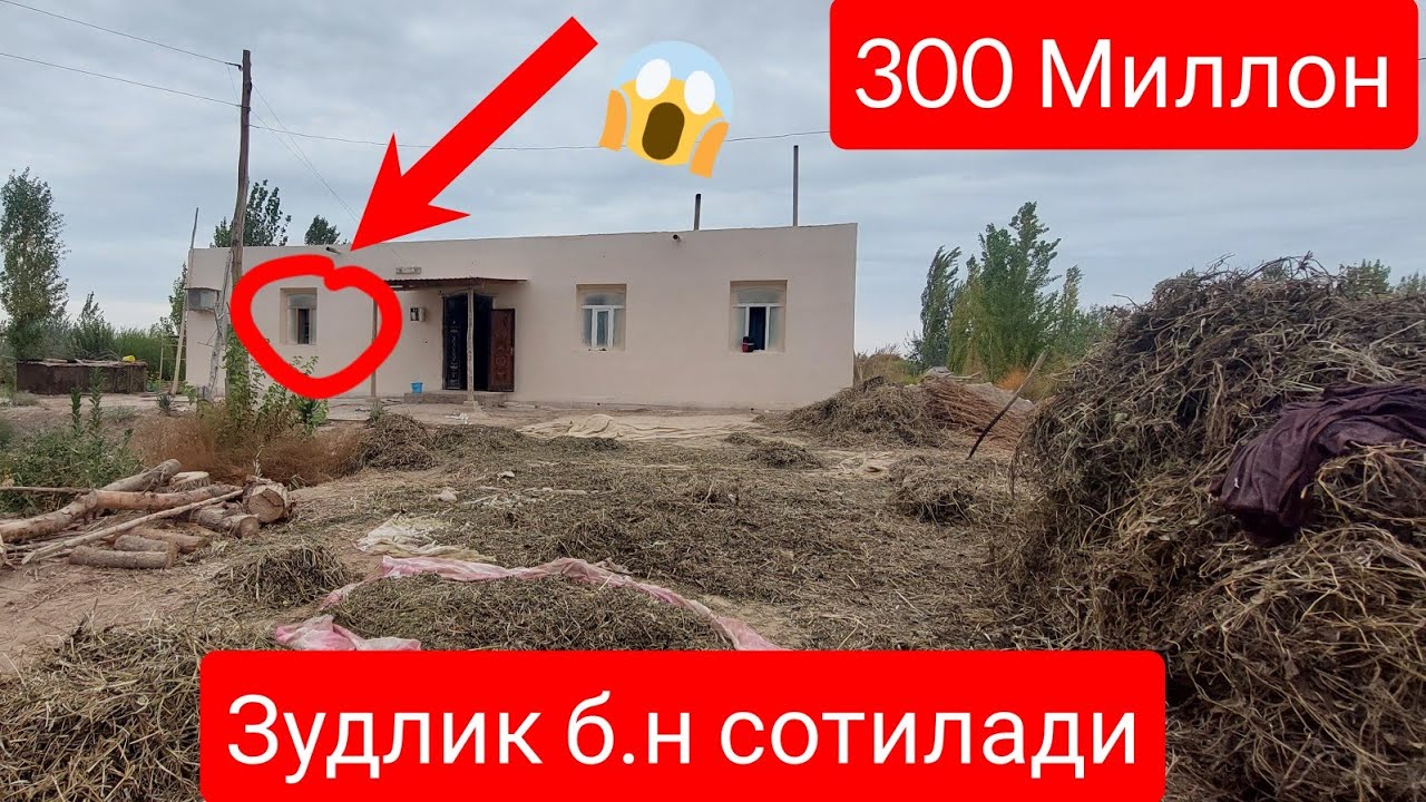 ЗУДЛИК БИЛАН ЖОЙ СОТИЛАДИ