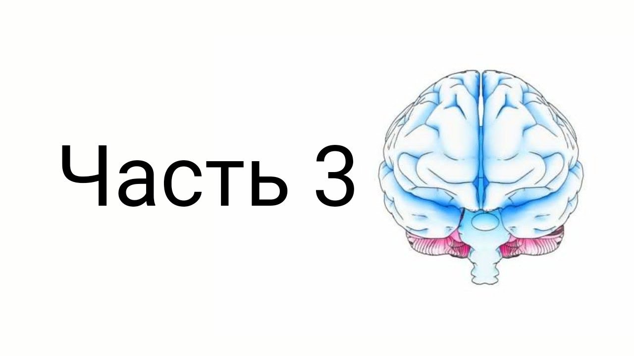 Логика. Глава 1. Определённые и не определённые понятия (1.2)