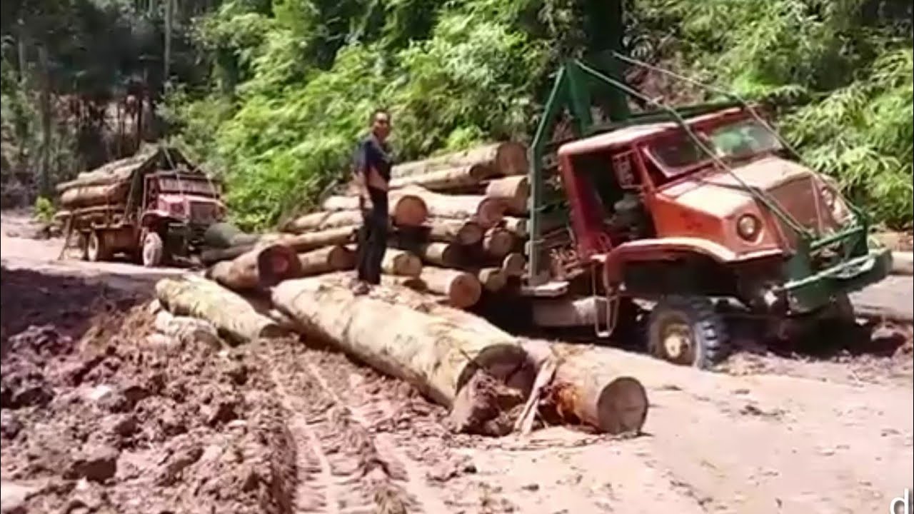 V10 Timber Truck | Hard Core