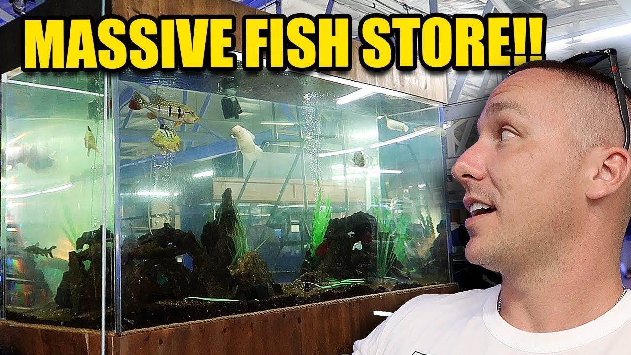 LARGEST AQUARIUM FISH STORE I HAVE EVER SEEN!!!
