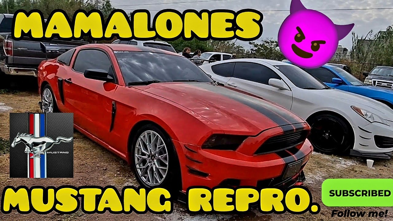 MAMALONES 😎EN VENTA EN AUTOTIANGUIS JUAN PABLO SEGUNDO. 