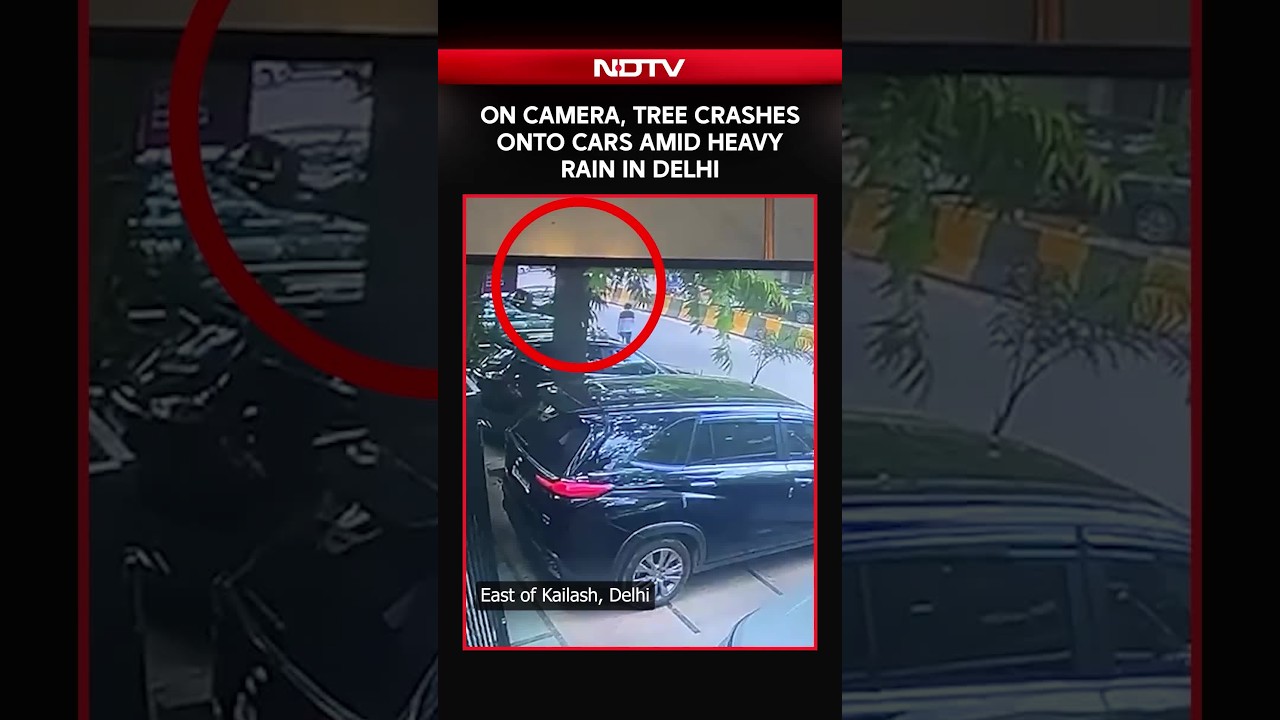 On Camera, Tree Crashes Onto Cars Amid Heavy Rain In Delhi