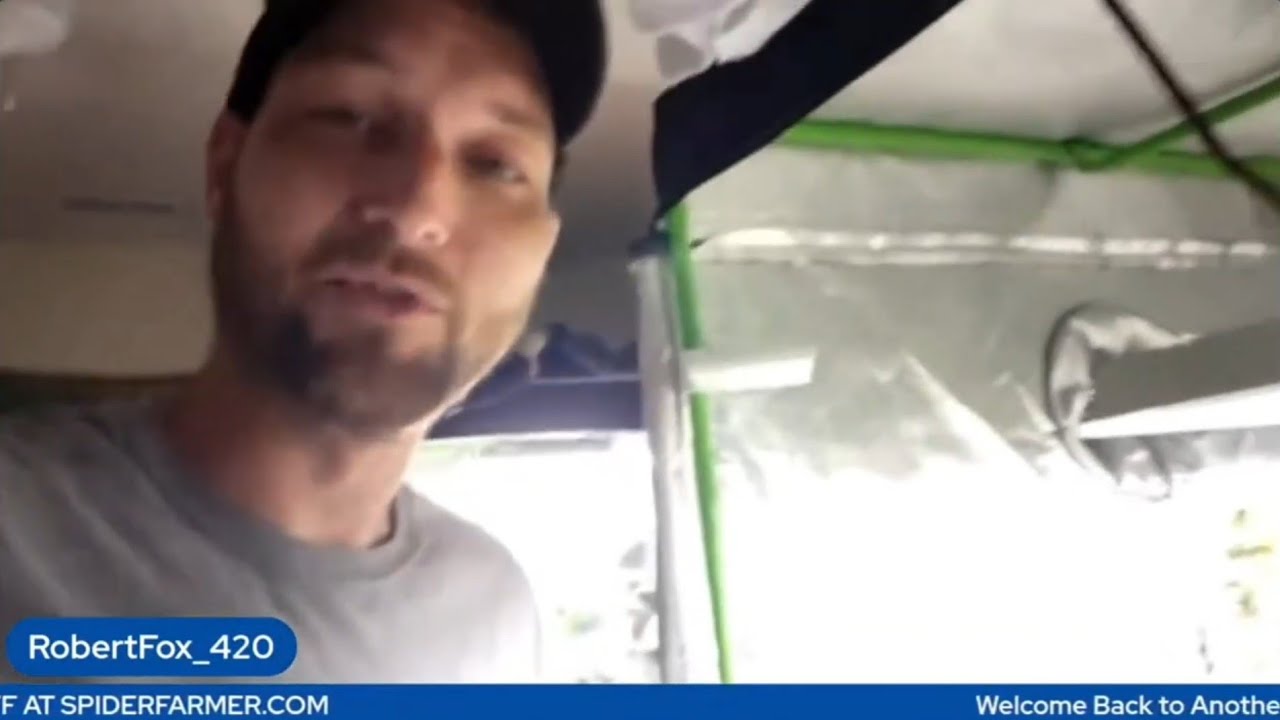Cognac Mac Update on Levelz Growroom