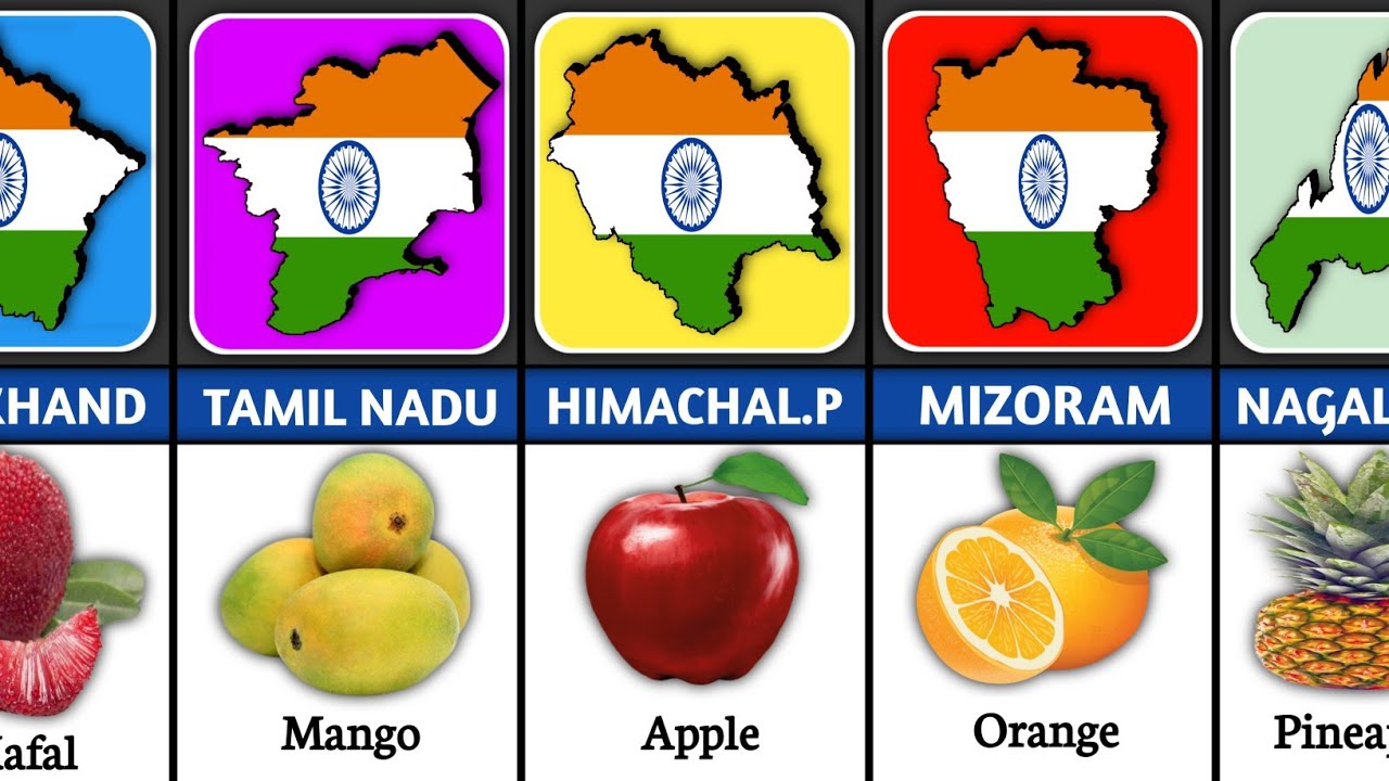 State fruit of All indian states 🍎
