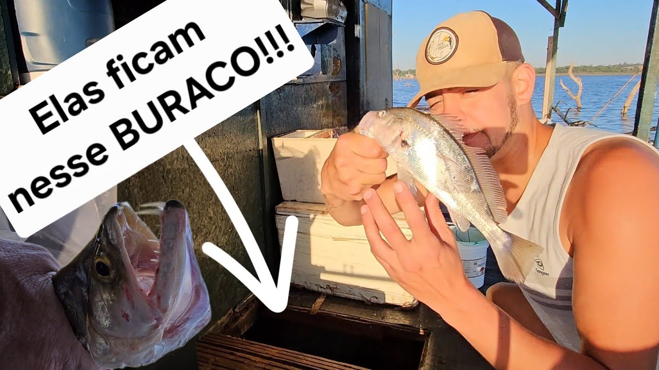 A VERDADE sobre Pescar em Rios e Represas: Espécies dos Peixes e comportamento muda tudo