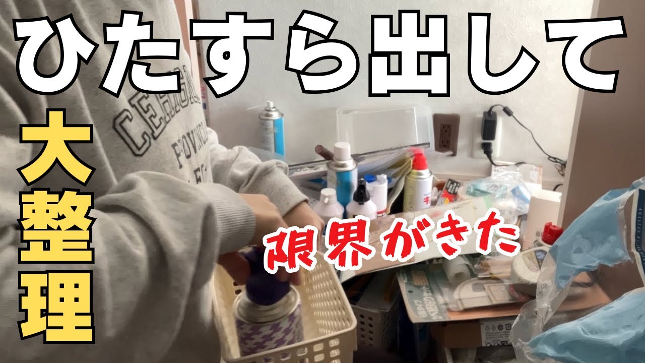 【断捨離】リビング収納。ぐうたら主婦、どんどん捨ててガッツリ整頓。【捨て活/主婦/掃除】