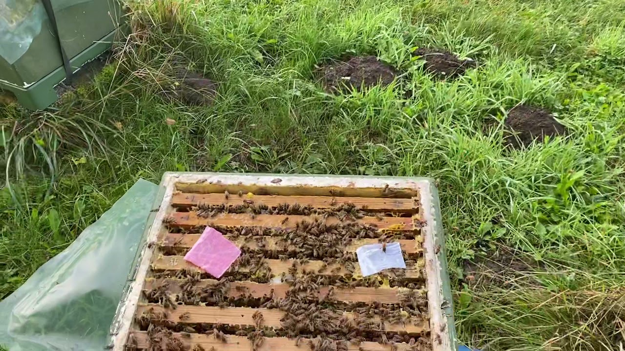 Familie sammen f&oslash;ring med avis