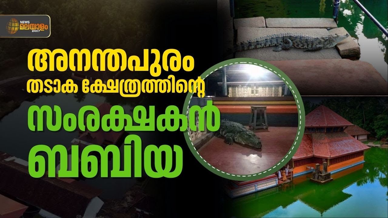 ബബിയയും അനന്തപുരം തടാകക്ഷേത്രവും | Kasaragod | DHAIVAME KAITHOZHAM