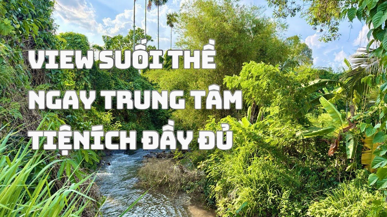 ☘️View Suối Thề Có Hai BĐS 2400m2 & 3300m2+100TC Tại Ấp 1 Xã Sông Ray Cẩm Mỹ Giá Tốt Tiện Ích Đầy Đủ