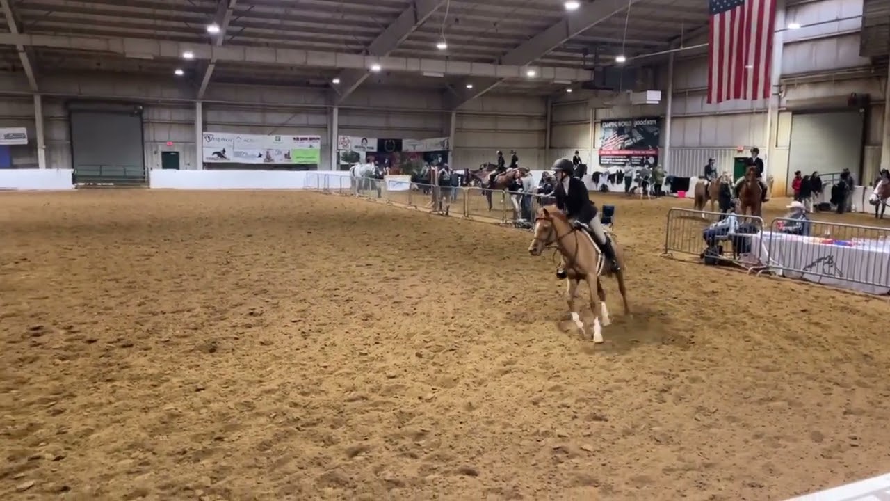 SHF Second Verse - Showing