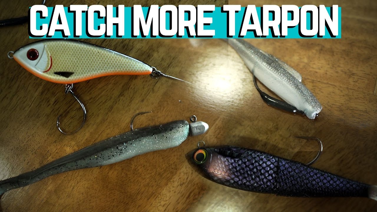 BEST Baits for TARPON