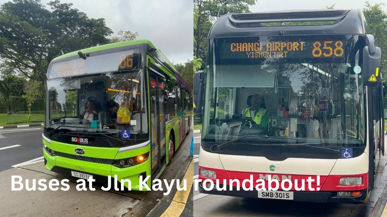 Buses at Jalan Kayu roundabout (after/before Seletar Camp G)