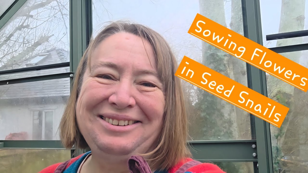 Sowing Flower Seeds in Seed Snails